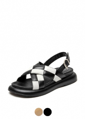 Aila Dames Sandaal
