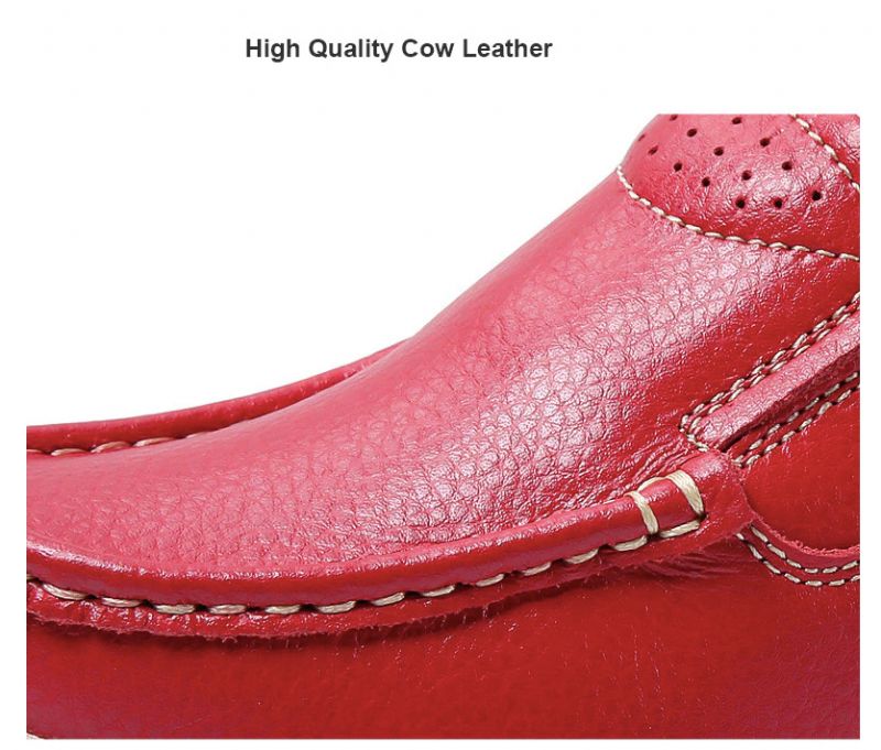 Ari Platform - Rood