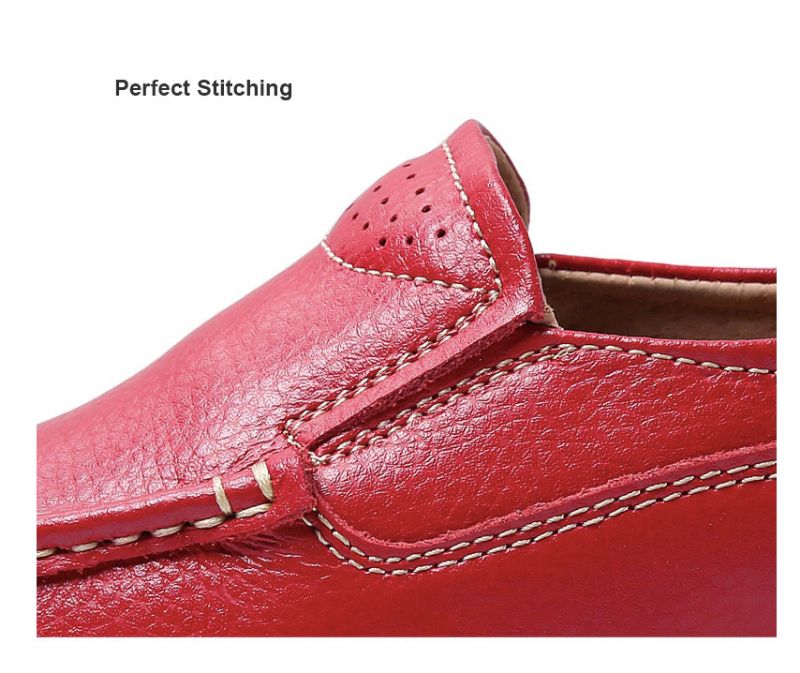 Ari Platform - Rood