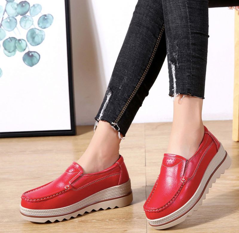 Ari Platform - Rood