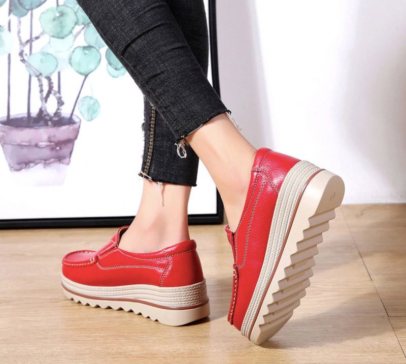 Ari Platform - Rood