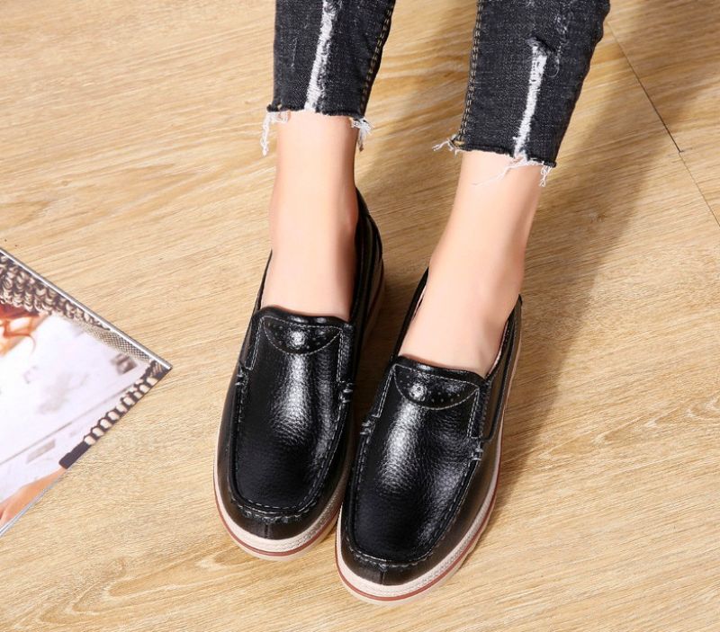 Ari Platform - Rood