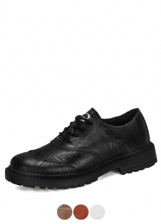 Arnelio Heren Oxford Casual Schoenen