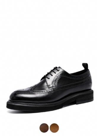 Arrubal Heren Oxford Schoenen