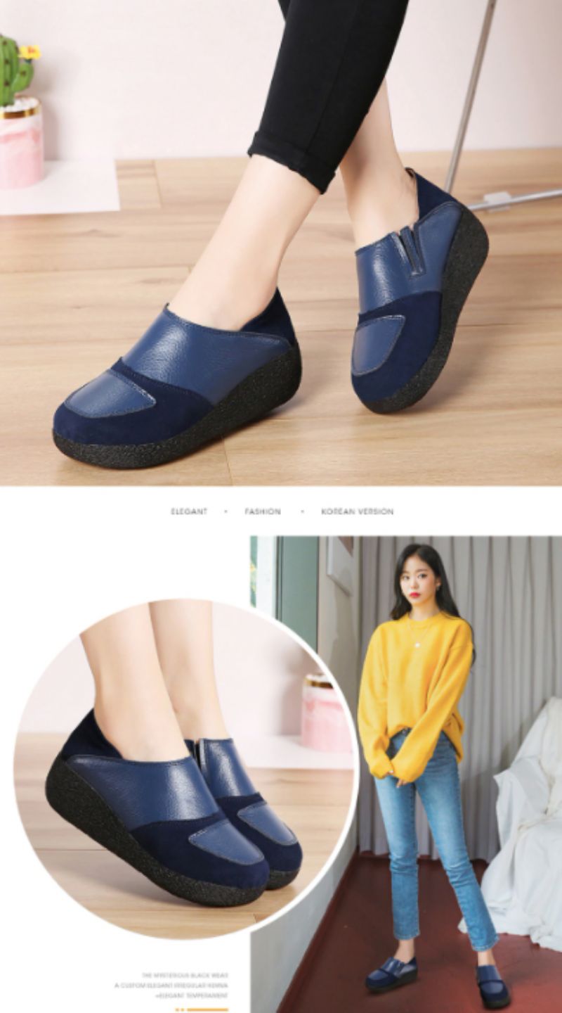 Beatriz Platform - Bruin