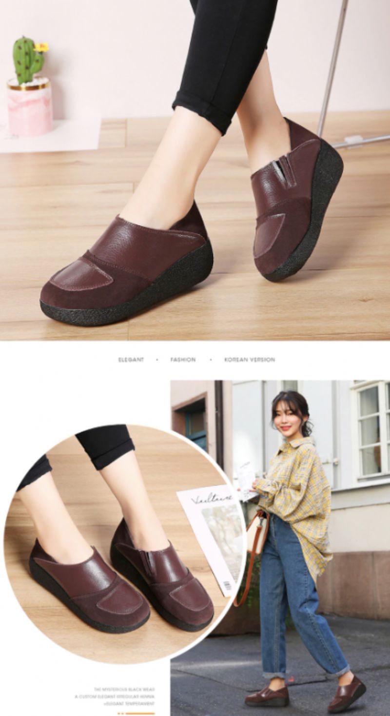 Beatriz Platform - Bruin
