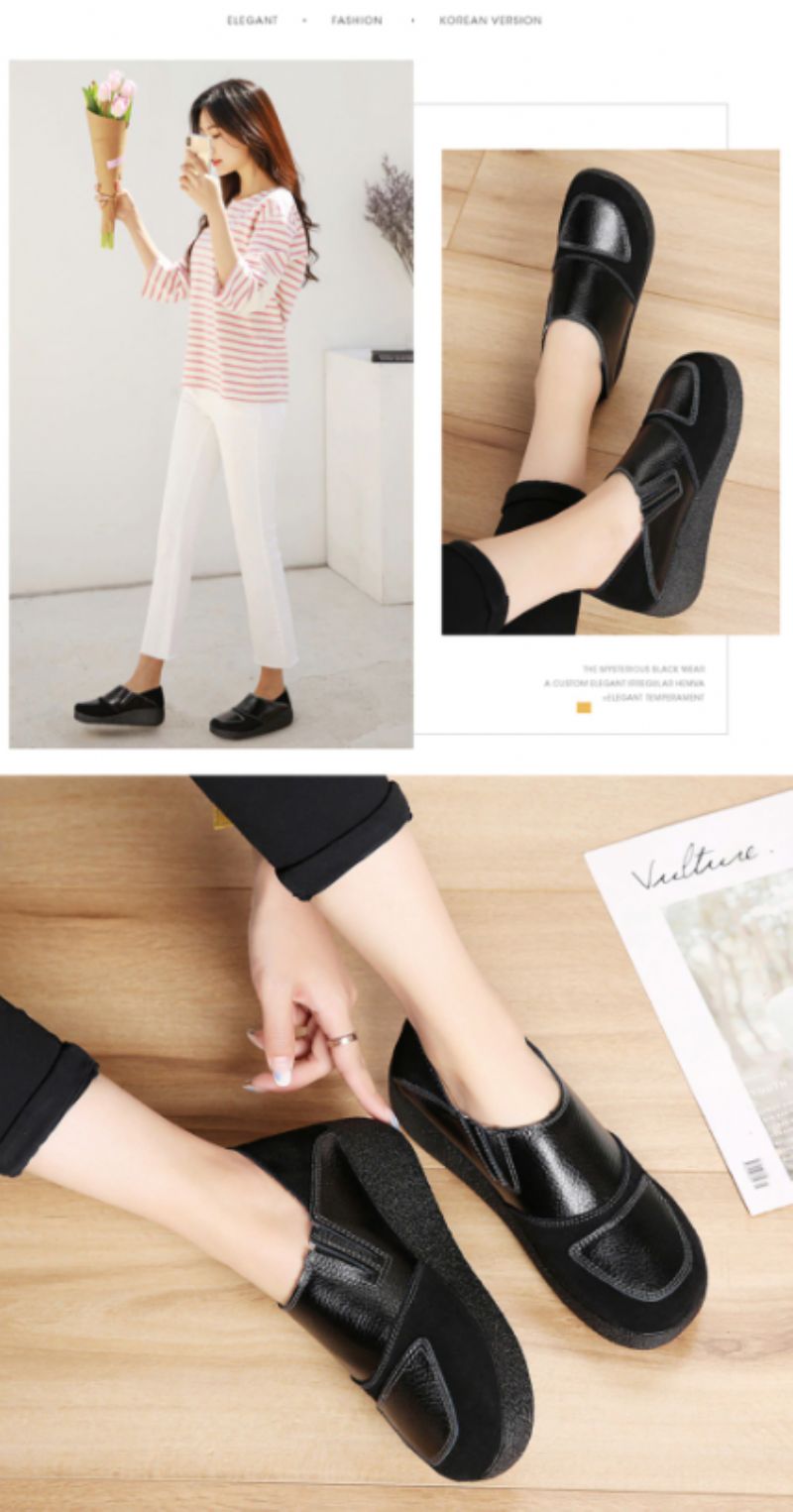 Beatriz Platform - Bruin