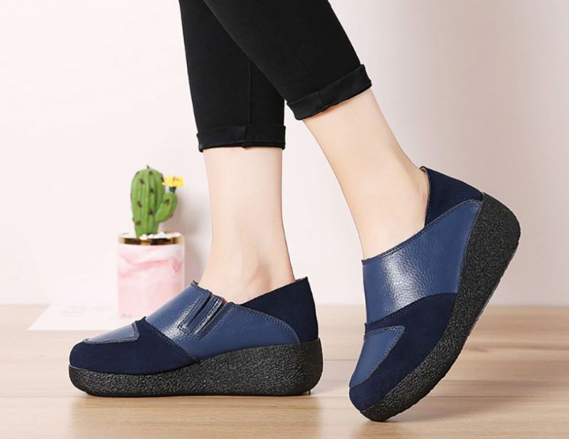 Beatriz Platform - Bruin