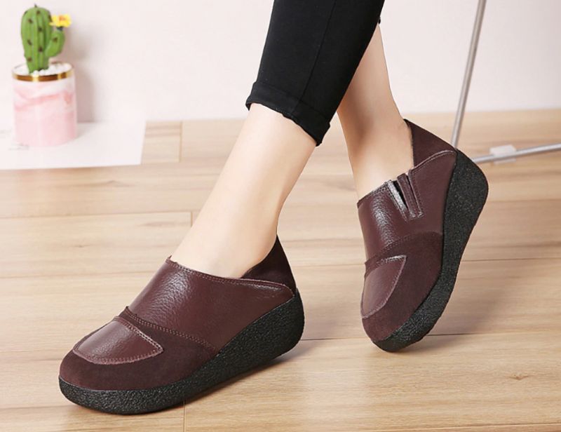 Beatriz Platform - Bruin