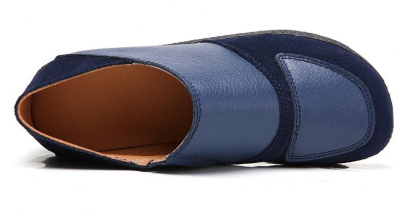 Beatriz Platform - Bruin