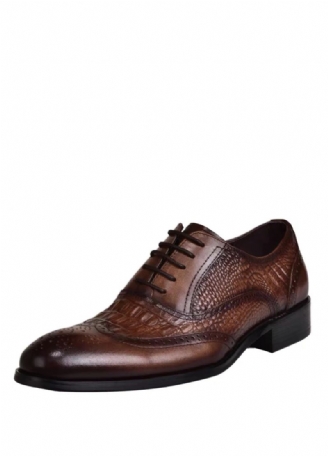 Beller Heren Oxford Casual Schoenen