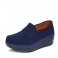 Blauw Hol