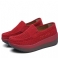 Rood Hol