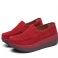 Rood Hol