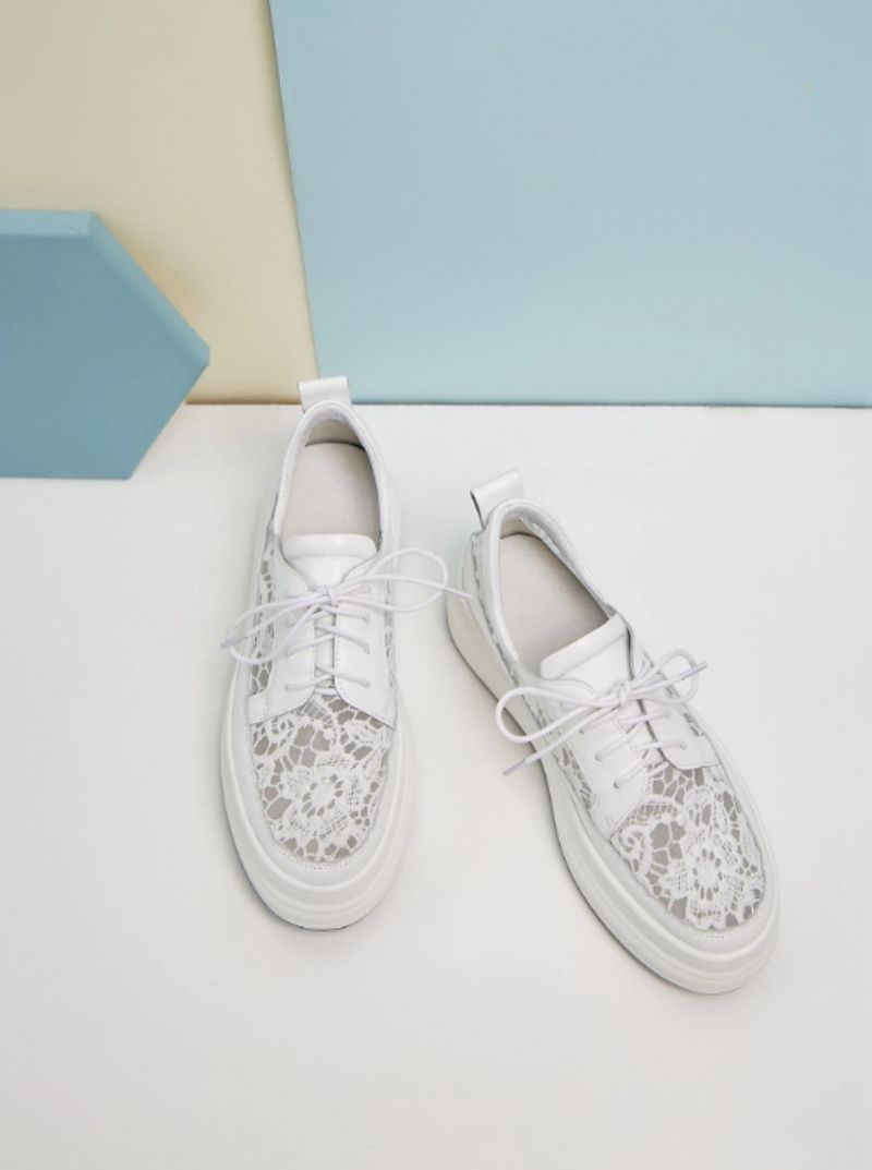 Bette Dames Platform Sneaker - Roze