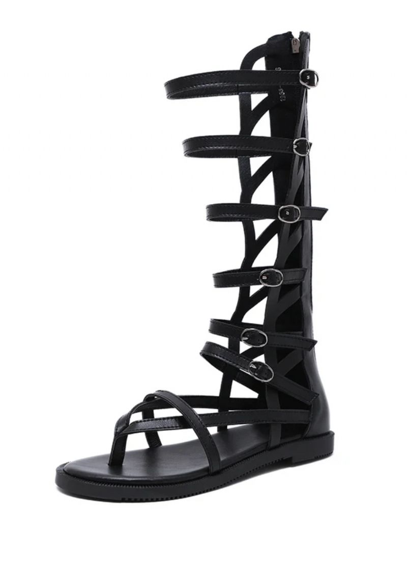 Calixta Dames Mode Gesp Gladiator Sandalen