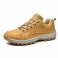 Goud 1