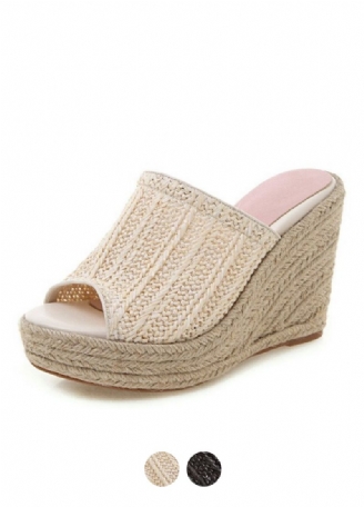 Ceres Wedges
