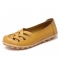 Geel