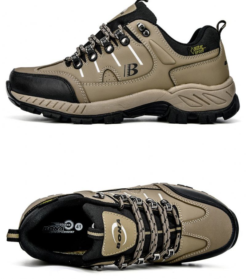 Dale Heren Sportschoenen - Olijf