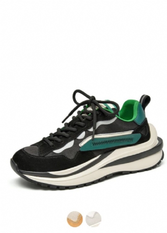 Dali Dames Veter Leren Sneaker