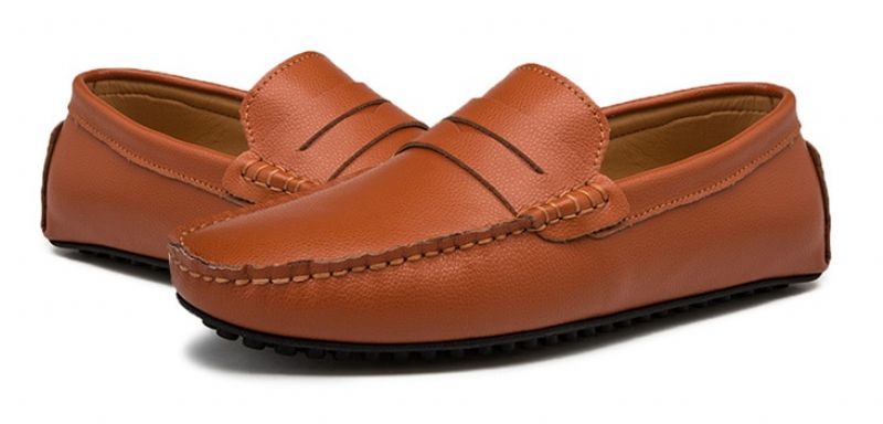 Darwin Heren Loafer Schoenen - Zwart