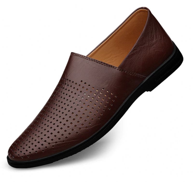 Dexter Heren Loafers Casual Schoenen - Bruin