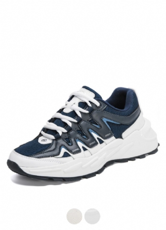 Donato Herenmode Sneakers
