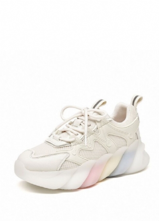 Dreamy Dames Multicolor Sneakers
