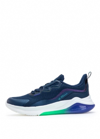 Falcon Sneakers Voor Heren