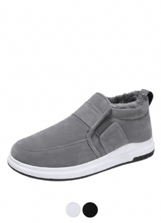 Fran Herensneaker