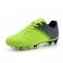 Bos Groen