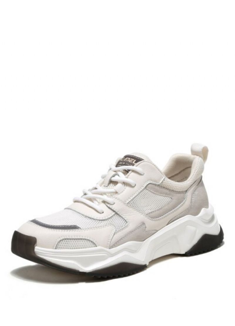 Greyber Heren Casual Sneakers