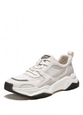 Greyber Heren Casual Sneakers