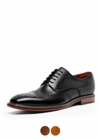 Hayden Heren Oxford Schoenen
