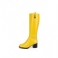 Geel