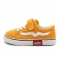 Geel