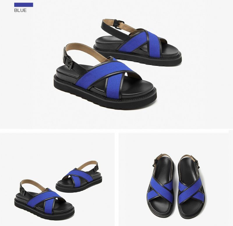 Kim Leren Platform Sandaal Voor Dames - Blauw
