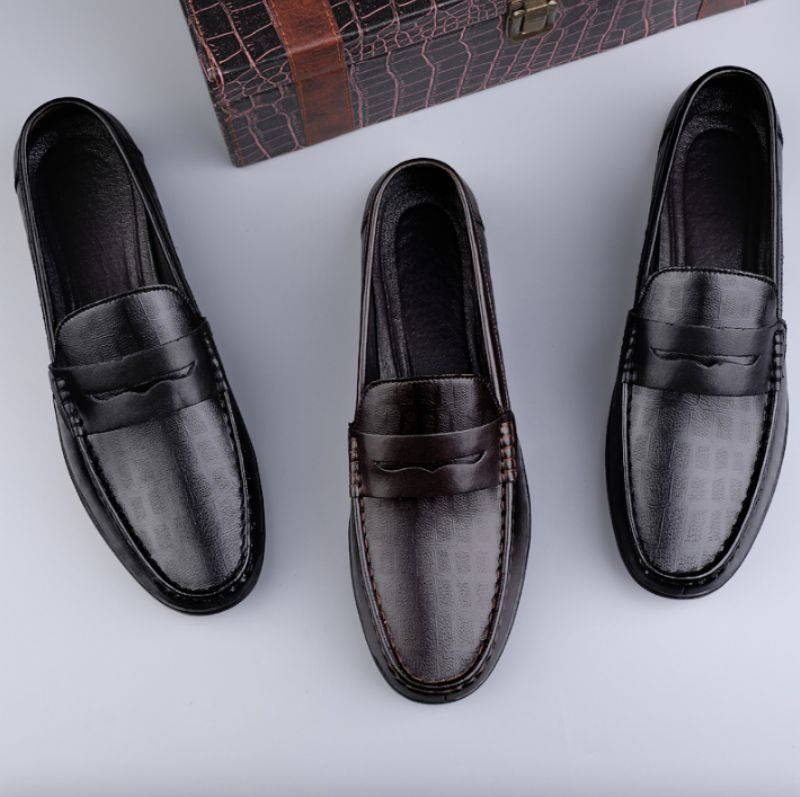 Leonel Heren Loafer Schoenen - Bruin