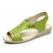 Groen