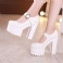 Wit 5 inch