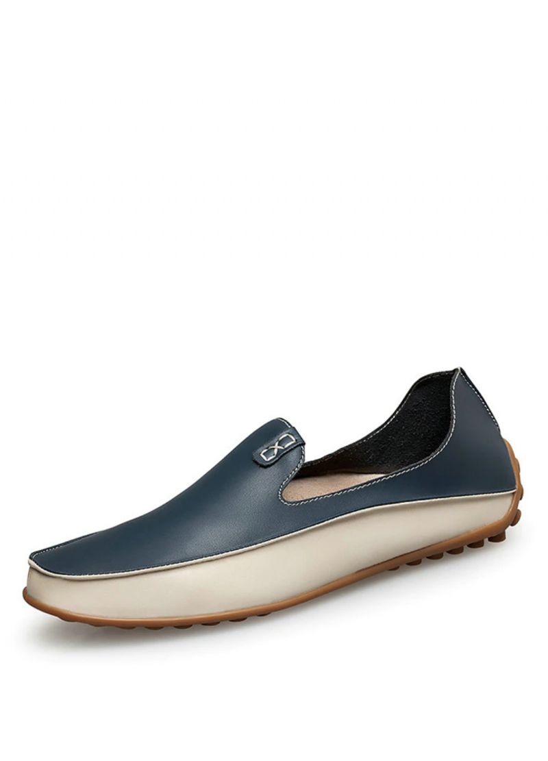 Molinaro Heren Loafers Schoenen