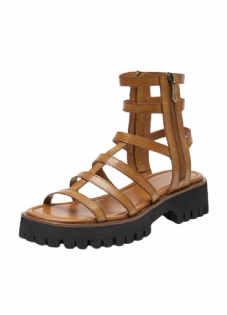 Morelia Gladiator Sandaal Voor Dames