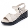 Beige 2.3 inch