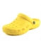 Geel