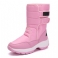 Roze