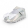 Zilver 1