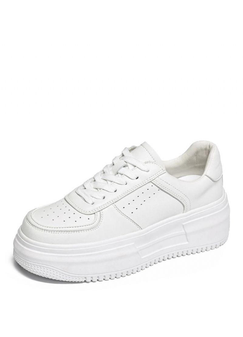 Penny Dames Sneaker