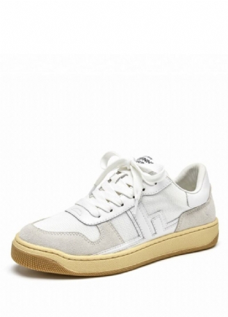 Picco Dames Sneaker Leren Veterschoenen