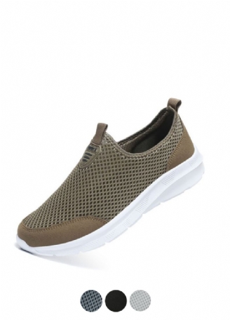 Pinto Heren Sneaker